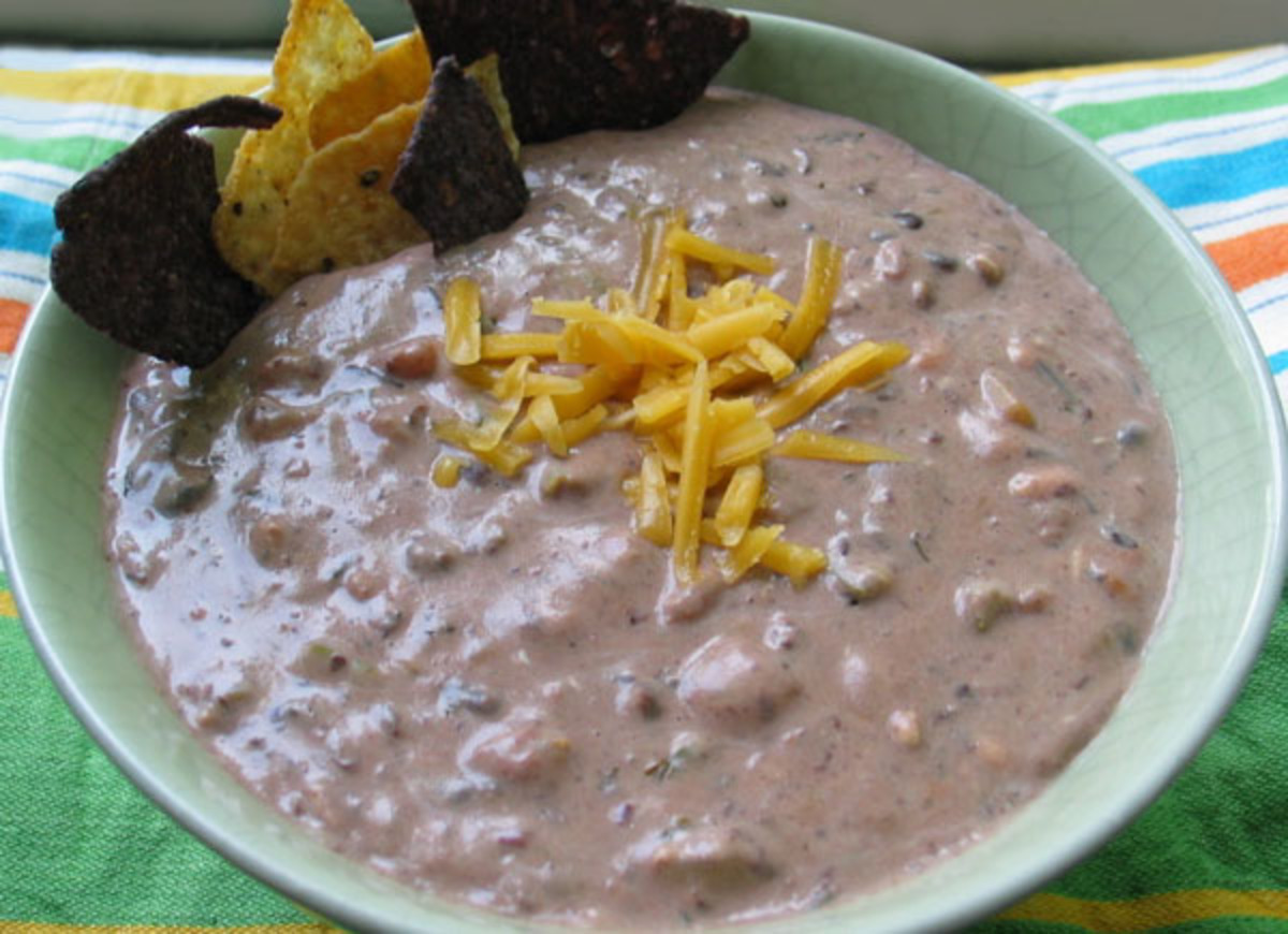 Spicy Cheesy Salsa Bean Dip