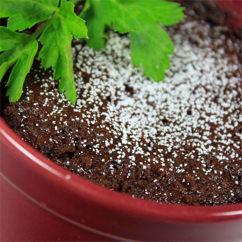 5-Minute Microwave Nutella Cake
