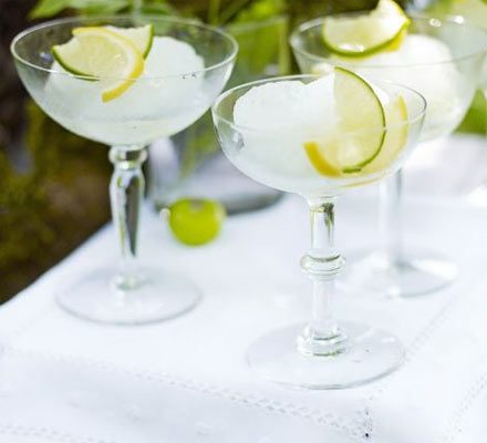 Gin & Tonic Sorbet