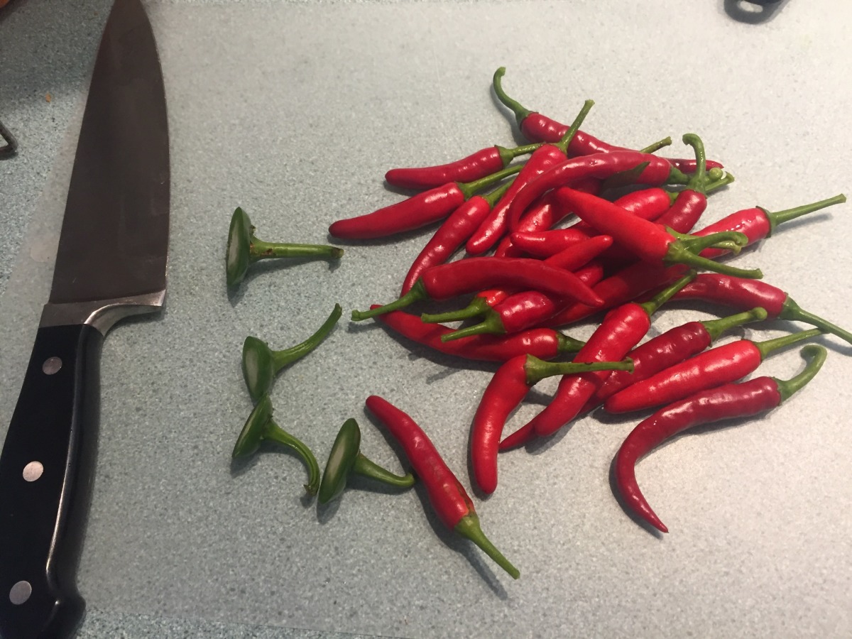 Hot Red Chile Pepper Sauce