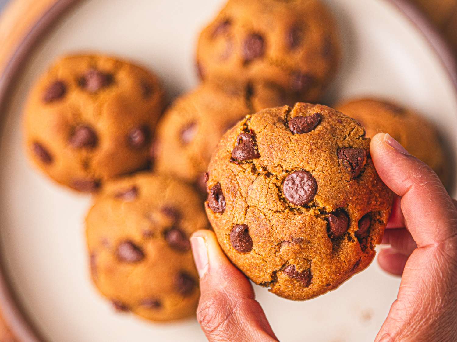 Air-Fryer Chocolate Chip Cookies for Two