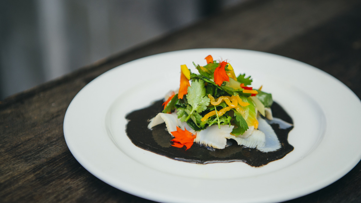 Geoduck With Squid Ink Coconut Milk