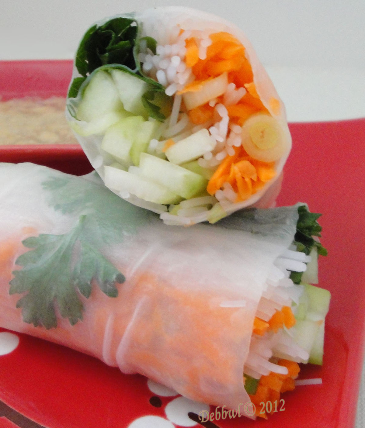 Crunchy Veggie Rolls With Peanut Dipping Sauce