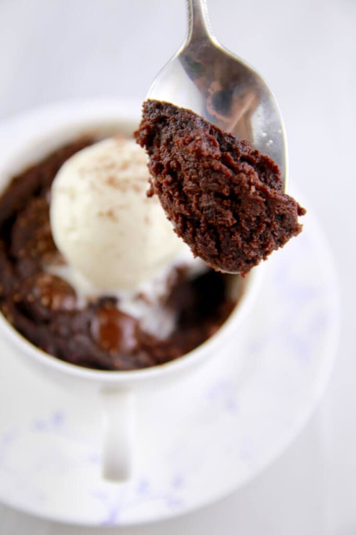 1 Minute Microwave Brownie Mug Meal