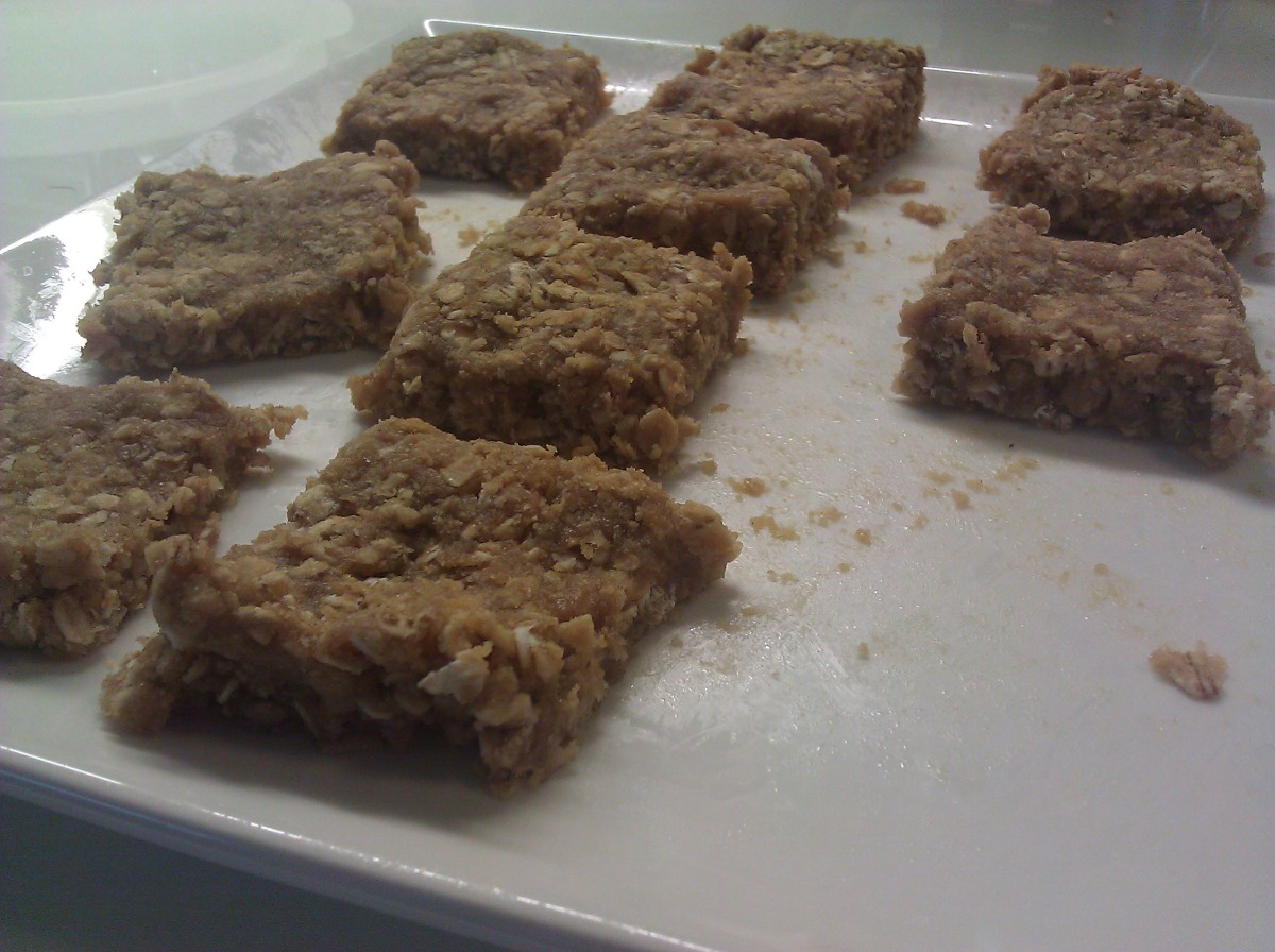 100 Calorie No Bake Whey Protein Bar Cookies