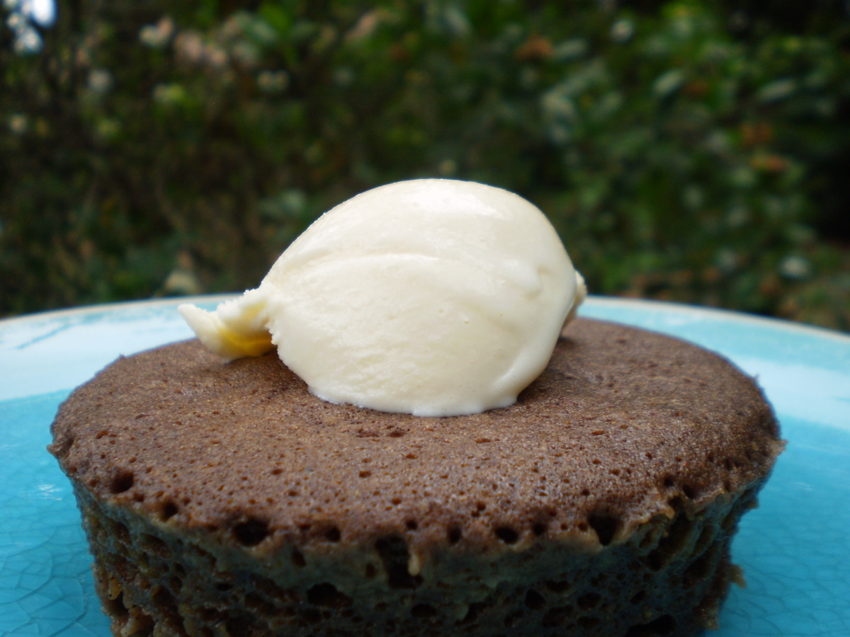5 Minute Spice Cake in Microwave
