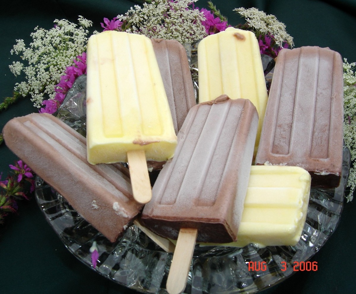 Frozen Fudge Pops