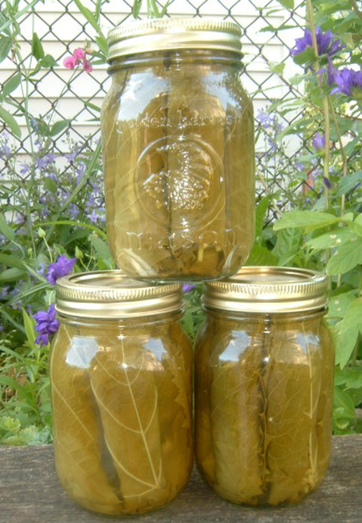 Preserved Grape Leaves